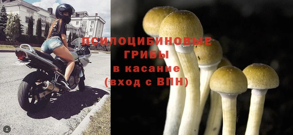 марки lsd Белокуриха